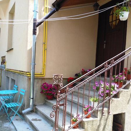 Apartament Nora 布拉索夫 外观 照片