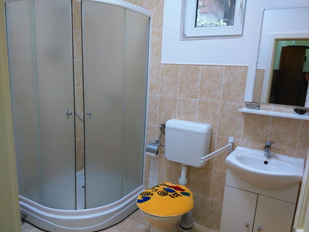 Apartament Nora 布拉索夫 外观 照片