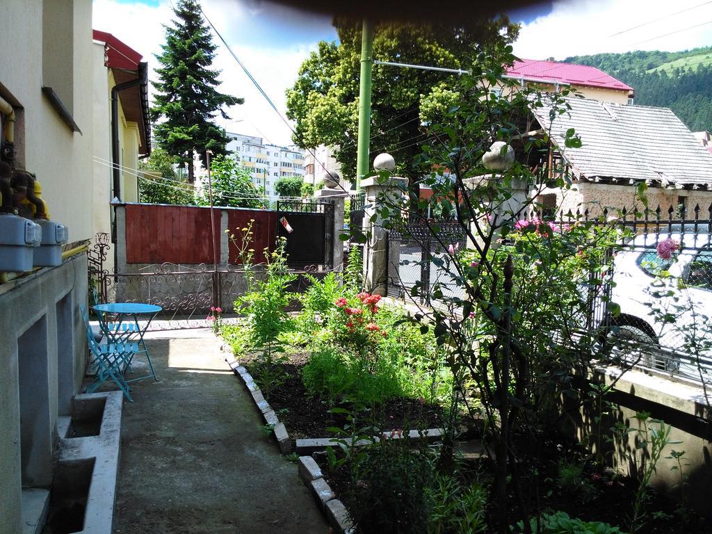 Apartament Nora 布拉索夫 外观 照片